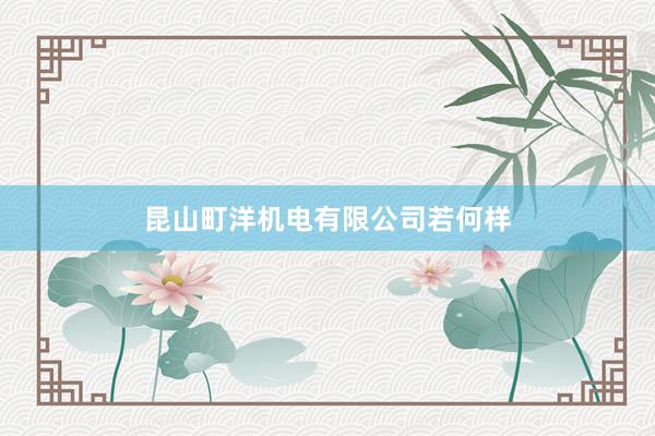 昆山町洋机电有限公司若何样